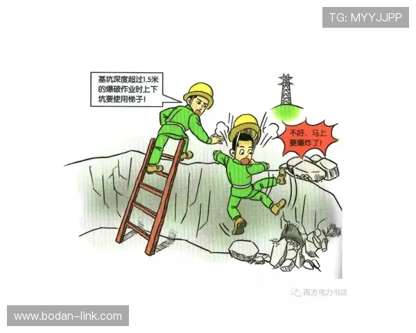 买波胆的血泪教训 避坑防骗看这篇