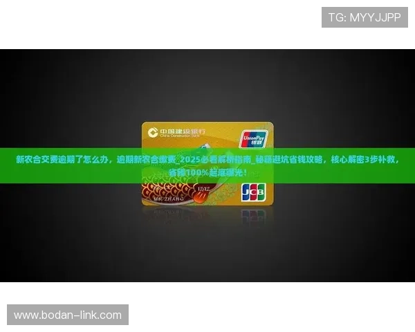 篮球竞猜避坑指南彩票与数字高频玩法防骗秘诀